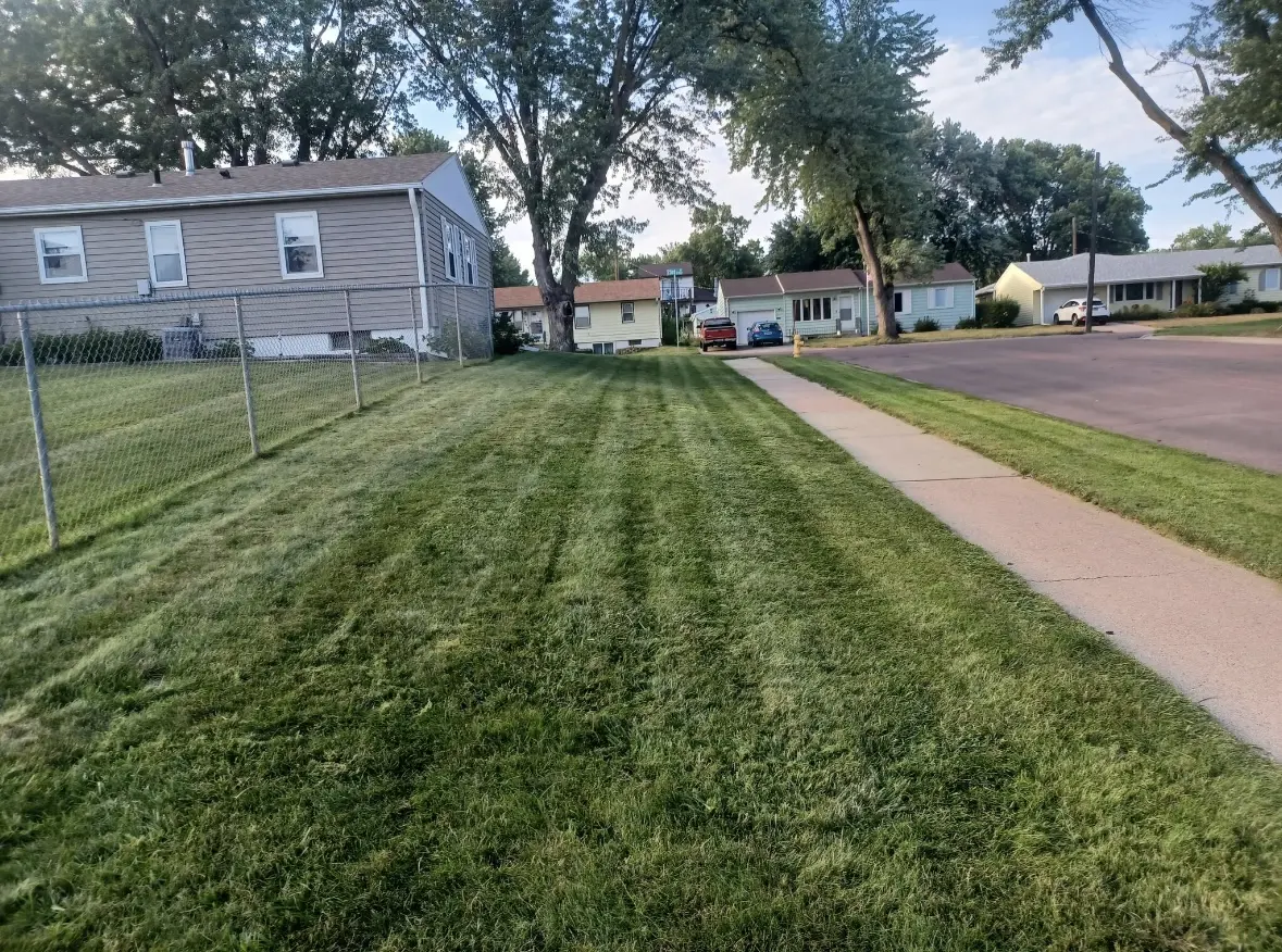 Freshly mowed residential lawn with clean stripes